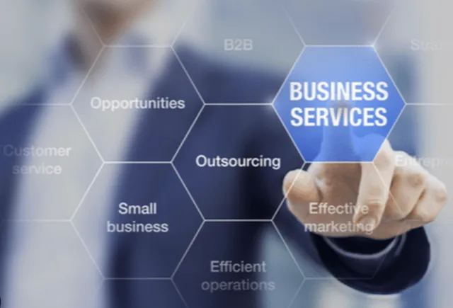 Professional Services